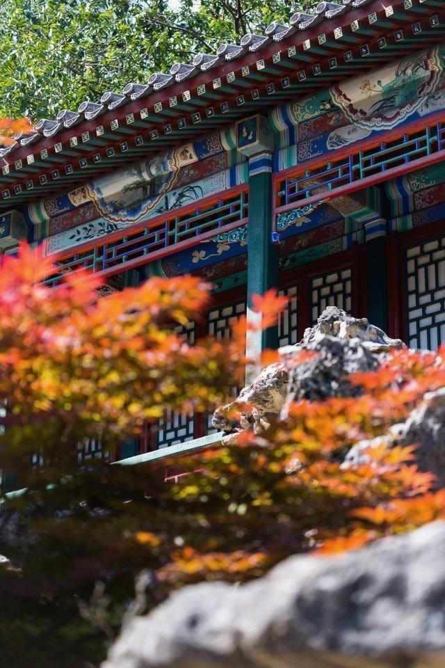 入门级的微单相机哪个好，佳能全画幅微单应该如何选择