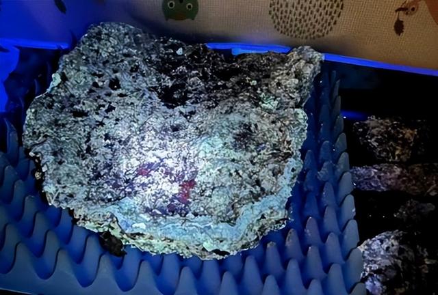 浮石属于哪种岩石，钱塘江闸口有人捡到白色浮石（浮石属于什么岩）