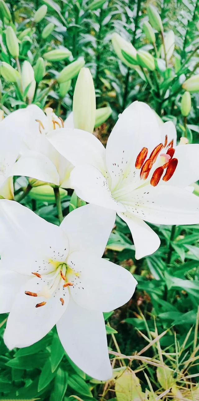 努力的意义是什么，努力的意义是什么图片（女人努力的意义是什么）