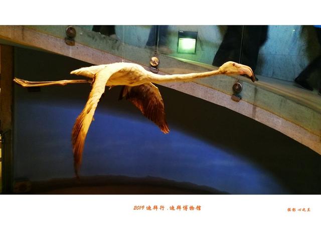 迪拜的音乐喷泉，迪拜音乐喷泉夜景（<7>——迪拜博物馆）