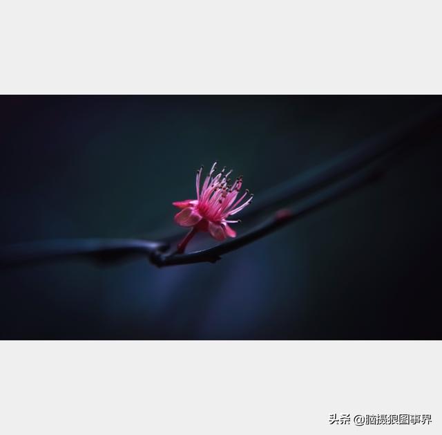 高光质感背景图，高清高级感背景图（若有这6个错误的深色背景照片）