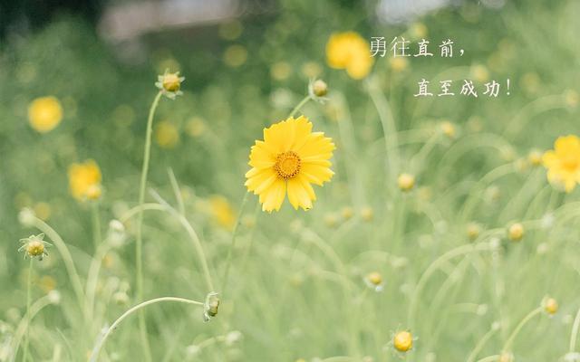 勉励自己的话短句，这一句勉励自己的话（16句励志古诗词）