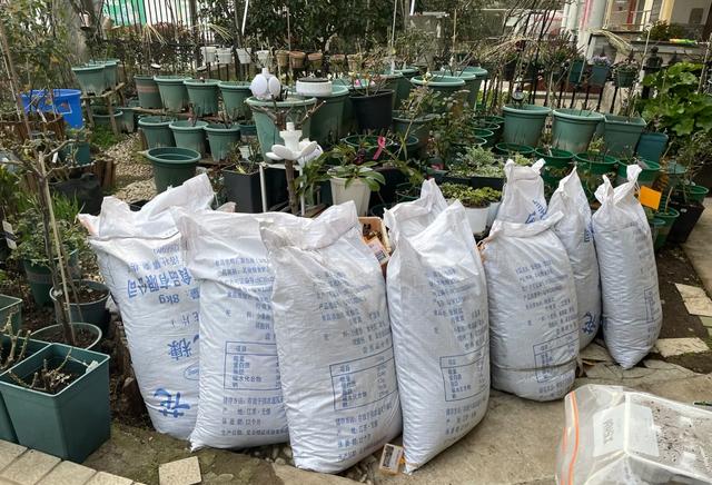 学什么手艺最赚钱，现在学习哪门手艺比较赚钱（经营好这2个小生意）