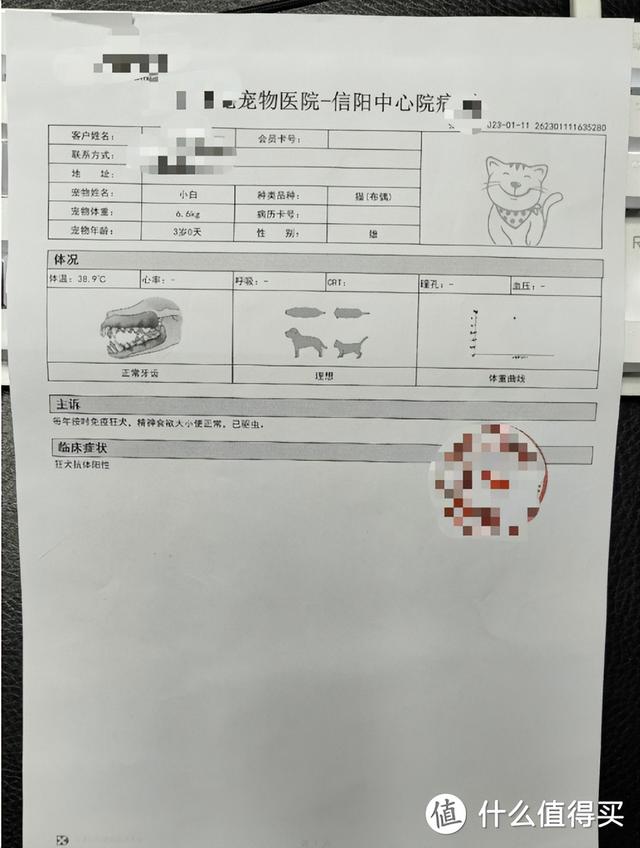 飞机托运收费多少钱一斤，飞机托运收费多少钱一斤2021（可能是全网最全的宠物航空托运攻略）
