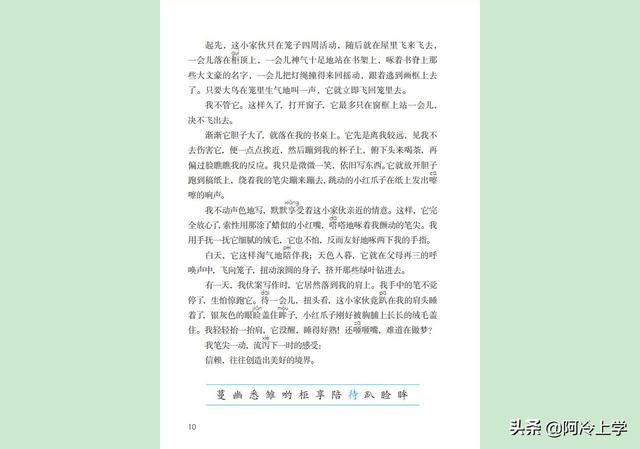 信赖的意思是什么，信任和信赖的意思（五年级上册《珍珠鸟》复习要点）