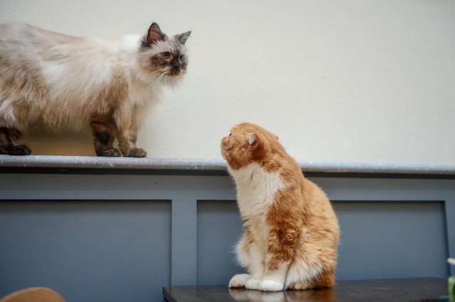 厦门宽厚里步行街的著名小吃，种草好久的厦门宽厚里美食店