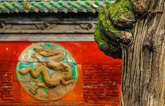 韩城本地特色美食，韩城市特产美食（韩城春游记）