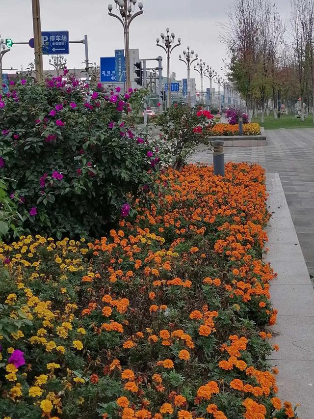 灵魂相似的人一旦相逢，灵魂相似的人一旦相逢是知心朋友（总有一天会在路上相逢）