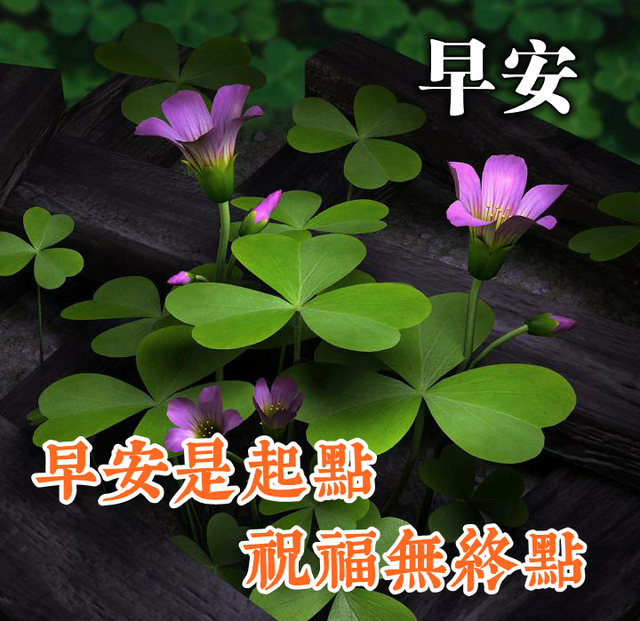 早晨的说说唯美句子，早晨充满正能量的句子（早安心语问候语录大全）