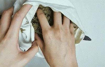 艾蒿的用处是什么，艾蒿有什么作用和用处（艾草的101种用途）