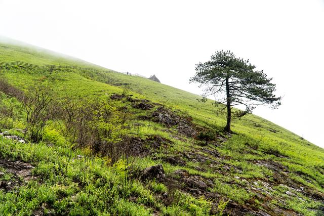 江西武功山几月份去最好，武功山适合几月份去（武功山又到了一年一度最美的季节）