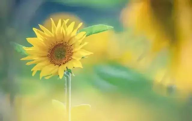 穿黑色衣服代表什么意思，黑色衣服代表什么象征意义（喜欢穿什么颜色的衣服和性格有关系）