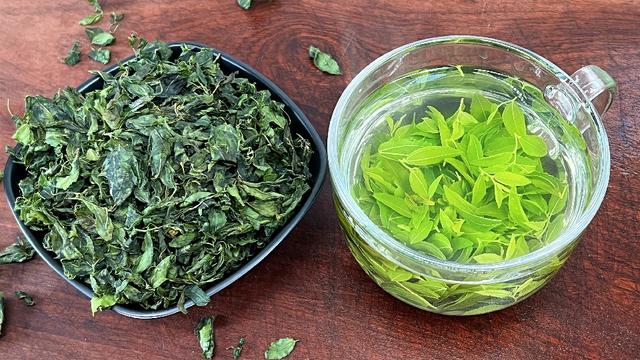 酸枣芽怎样制成茶叶，怎样自制酸枣叶茶（遇到这叶子别手软）
