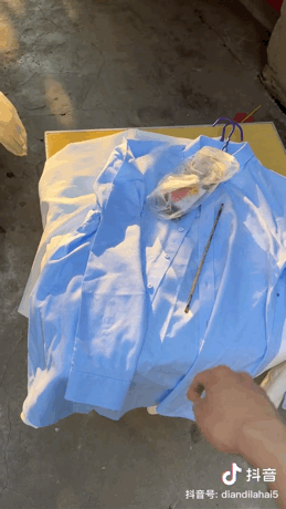 扑棱蛾子是什么梗，扑棱蛾子是什么梗贝斯（听说他换头是靠p的）