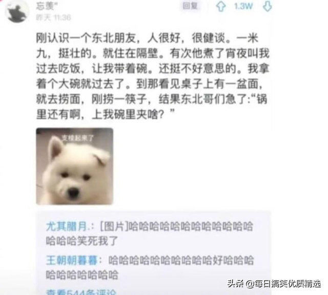 别扒拉我恐龙情侣头像，恐龙情头微信（神回复：这是什么样的古董）