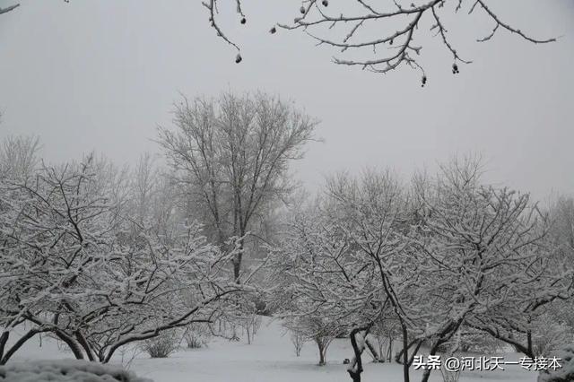 廊坊师范学院是一本还是二本，廊坊师范学院是几本_是一本还是二本大学（廊坊师范学院：缩招已成现实）