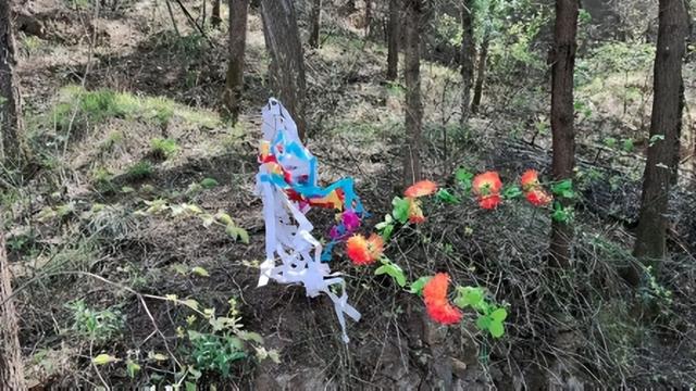 过了清明节还能上坟吗，清明过后还能上坟吗（我们这里是在这样的几个日子里）