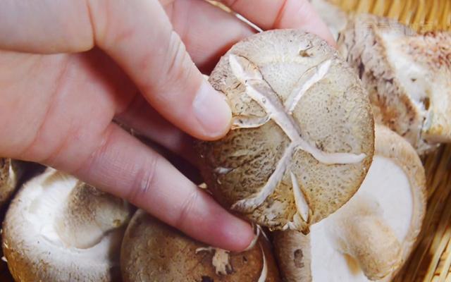 香菇和什么不能一起吃，香菇和什么不能一起吃会过敏（菜农教你一个不外传选购诀窍）