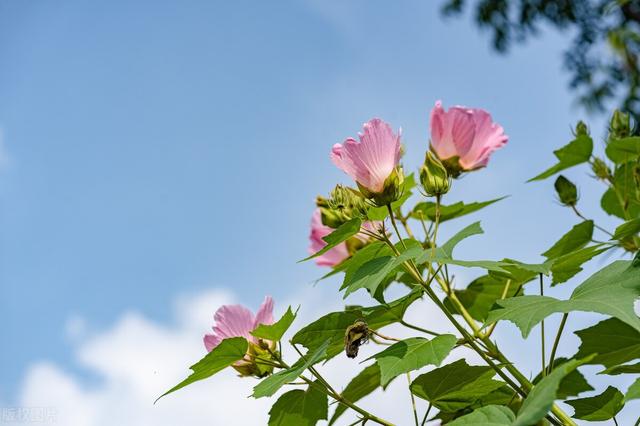 生活健康小常识，生活健康知识小常识（48条健康小常识）