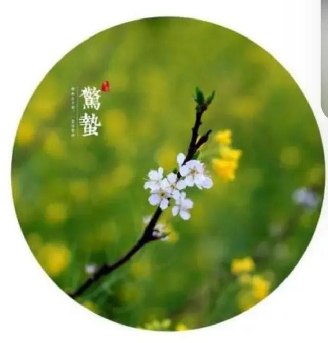 惊蛰是什么意思 惊蛰节气的含义，惊蛰是什么意思（惊蛰的由来与禁忌，你知道吗）