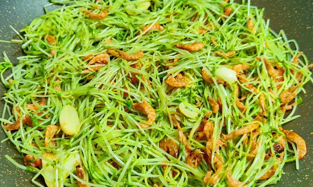 黄豆芽怎么做，黄豆芽怎么做下奶（遇到豌豆苗别手软）