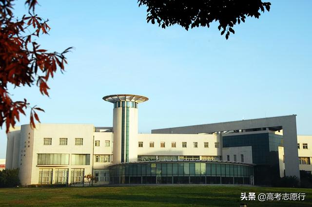 国际商务专业就业前景，国际商务专业未来就业前景和就业方向分析（录取分数堪比“双一流”的二本院校）