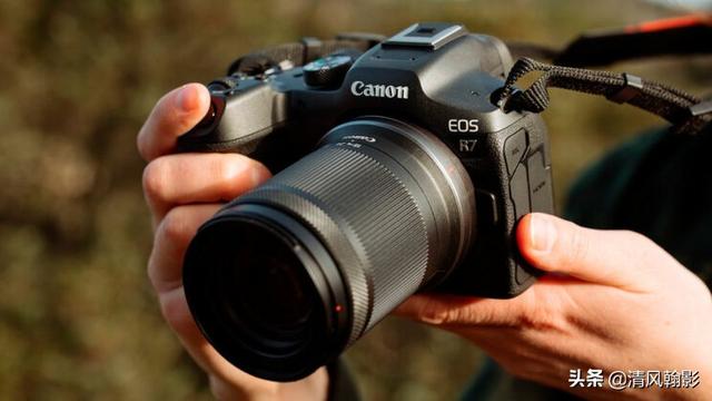 佳能eosr7和r6哪个好，编译：佳能