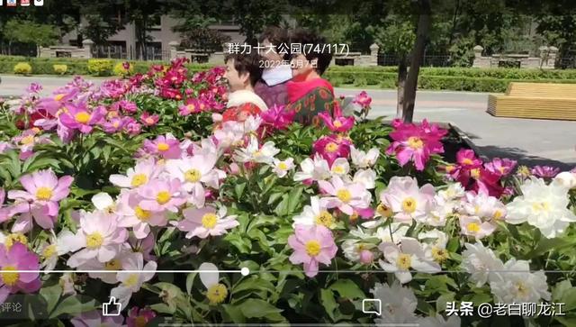 哈尔滨群力湿地公园，群力新区十一大公园