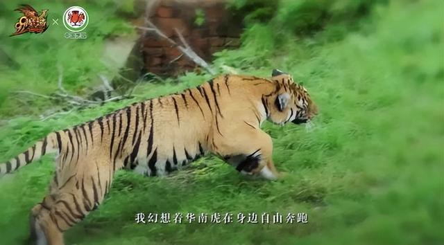 好玩的网易游戏，网易游戏排行榜前十名（网易520发布会40款游戏来袭）