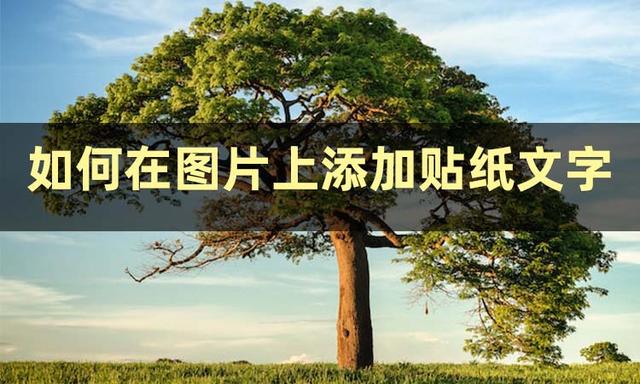 ps怎么添加文字，如何使用Photoshop给图片添加文字（两分钟让你学会两种方法）