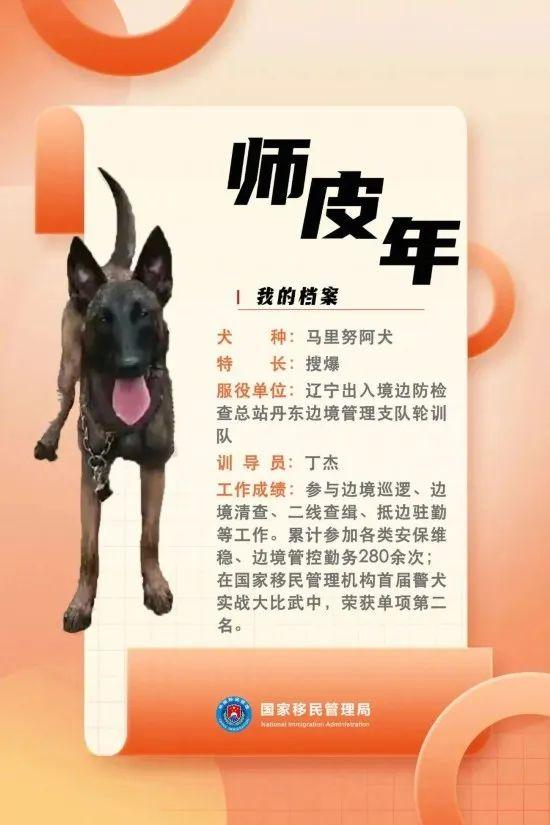 汪汪队立大功百科,汪汪队立大功人物介绍(国家首批功勋犬简历曝光) 汪汪队立大功百科,汪汪队立大功人物介绍(国家首批功勋犬简历曝光)