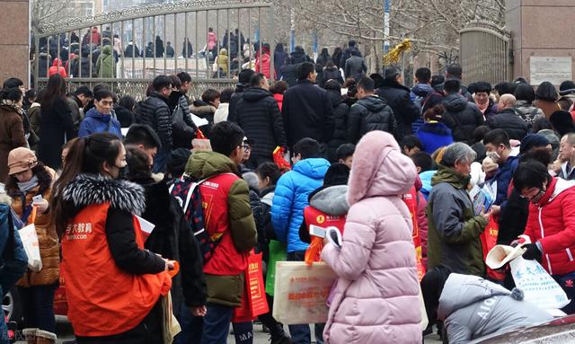 东北女明星，东北为什么出明星