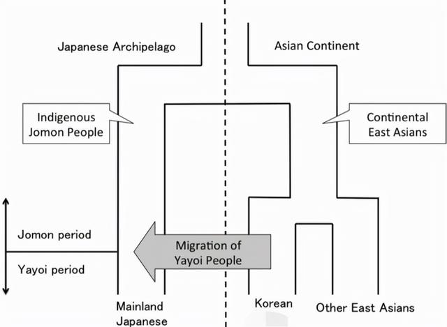 日本人的祖先来自哪里，日本人的祖先来自哪里是不是（他们才是日本人的祖先）