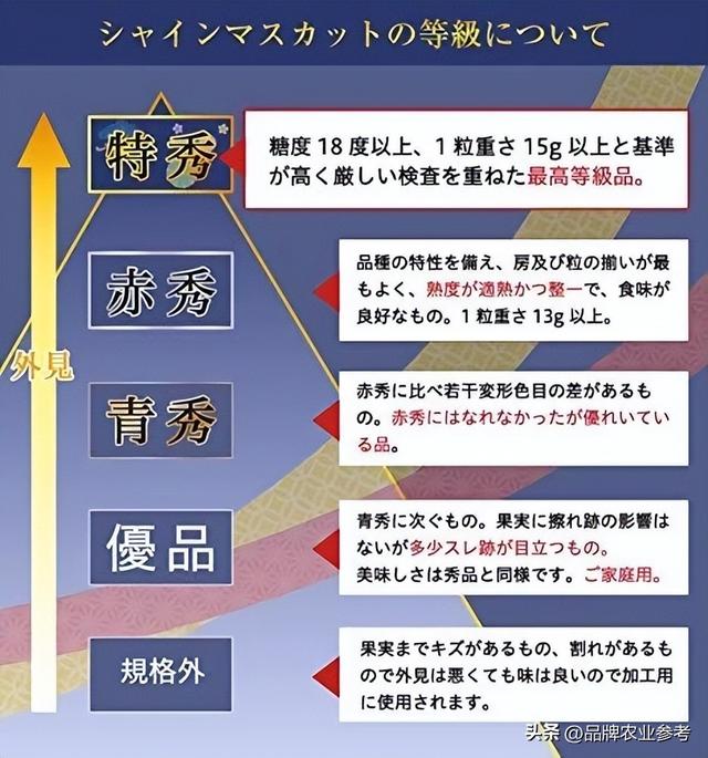 晴王和阳光玫瑰的区别，晴王葡萄和阳光玫瑰的区别（聊一聊日本“晴王”）