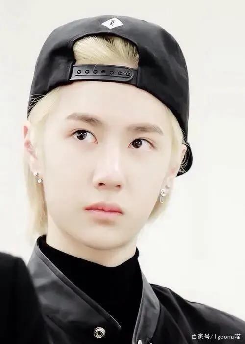 洛阳白牡丹——王一博，为什么叫王一博洛阳白牡丹（洛阳白牡丹—王一博图片）