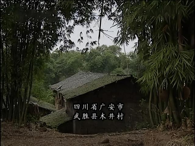 水沉香的功效 具体有哪些作用呢，水沉香的功效（四川古村发现两口怪井）