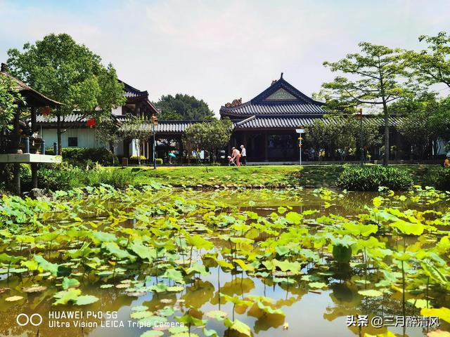 游记西湖景点，漫步惠州西湖