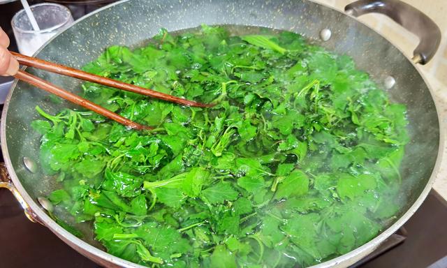 野菜灰灰菜怎么做好吃，野菜灰灰菜怎么做好吃的（却常被人“嫌弃”）