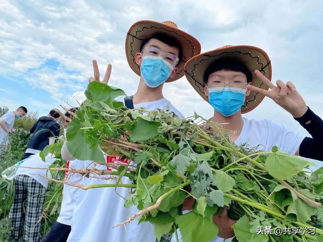 家长祝福老师的话语简短10字，家长对老师祝福语简短独特（老师最想对家长说的6句话）