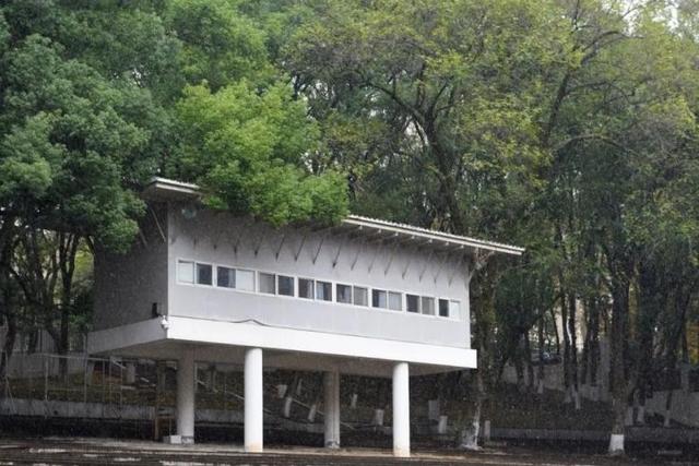 22年十大网络流行语，22年十大网络流行语有哪些（2022十大流行语新鲜出炉）