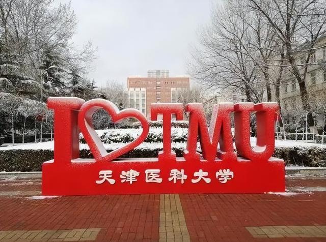 天津师范大学是一本还是二本大学，天津师范大学是几本大学（天津4所“害人不浅”的大学）