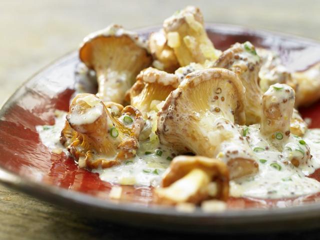 食用菌菇类十大排名，十大最好的菌菇排名是什么（盘点世界上最贵的菌菇）