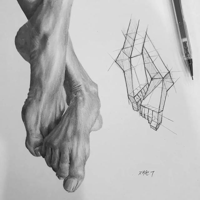 素描技巧和画法，画好素描的步骤（素描丨画好素描不是一蹴而就的）