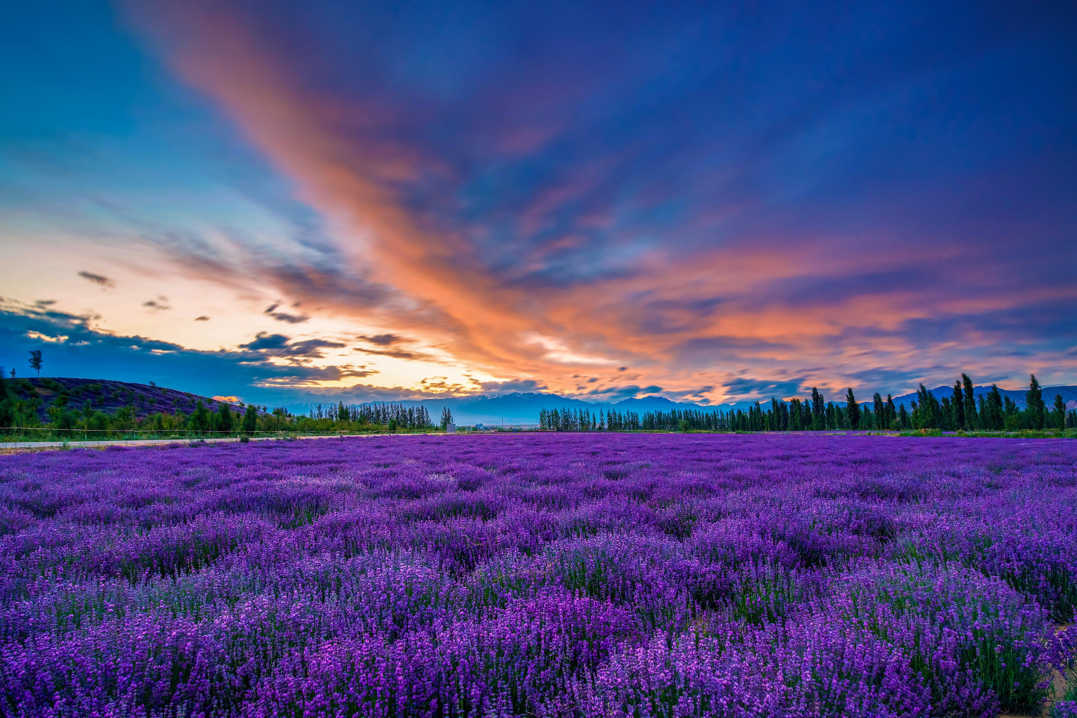 伊犁旅游景点介绍(新疆伊犁10日环线) - 悦闻天下