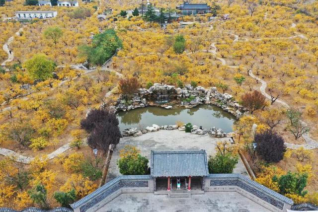 枣庄最值得去的旅游景点有哪些，枣庄在等你