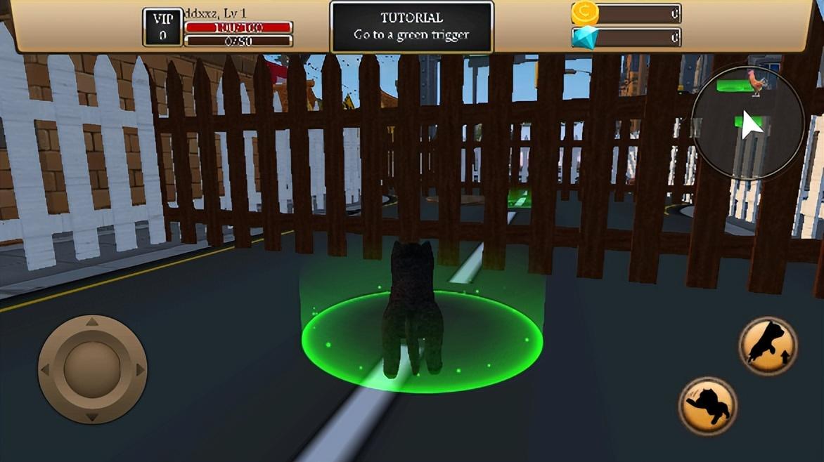 美国zoom动物下载-美国zoom动物最新版2022 v1.0.0.5安卓版