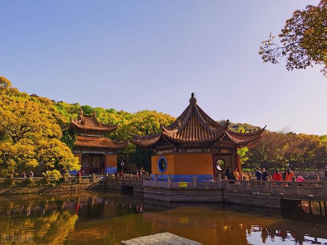普陀山在哪里，普陀山在哪里坐船（走进普陀山）