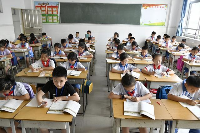 中专可以考小学教师资格证吗，中专学历可以考小学教师资格证吗（这3类人不允许报考教师资格证）