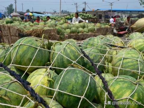 河南省有哪些市，河南省有哪些市有机场（还有大蒜西瓜灌汤包）