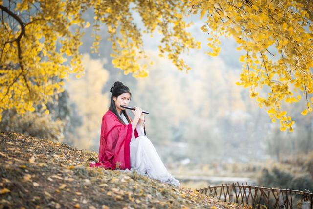 古风武侠网名，武侠风的网名，好名推荐